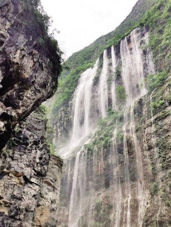 小长颈鹿逃离